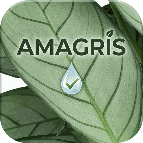 AmaGris 앱 아이콘